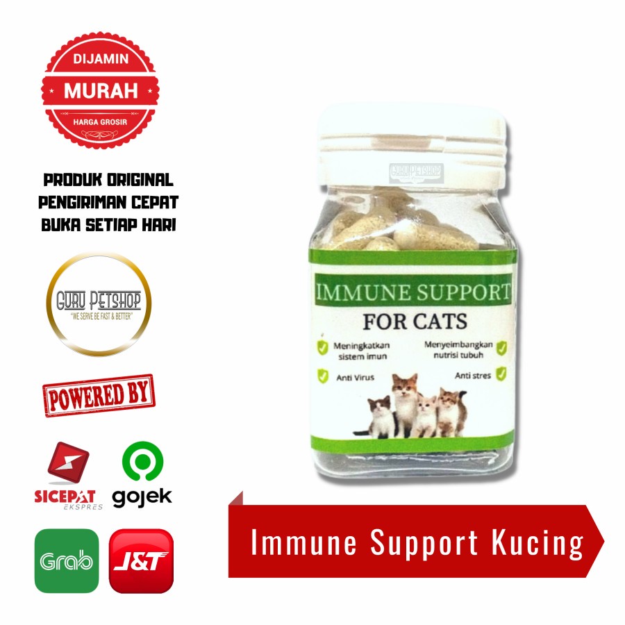 Immune Support For Cats Vitamin Imun Booster Kucing Mencegah Virus