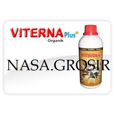 VITERNA  NASA