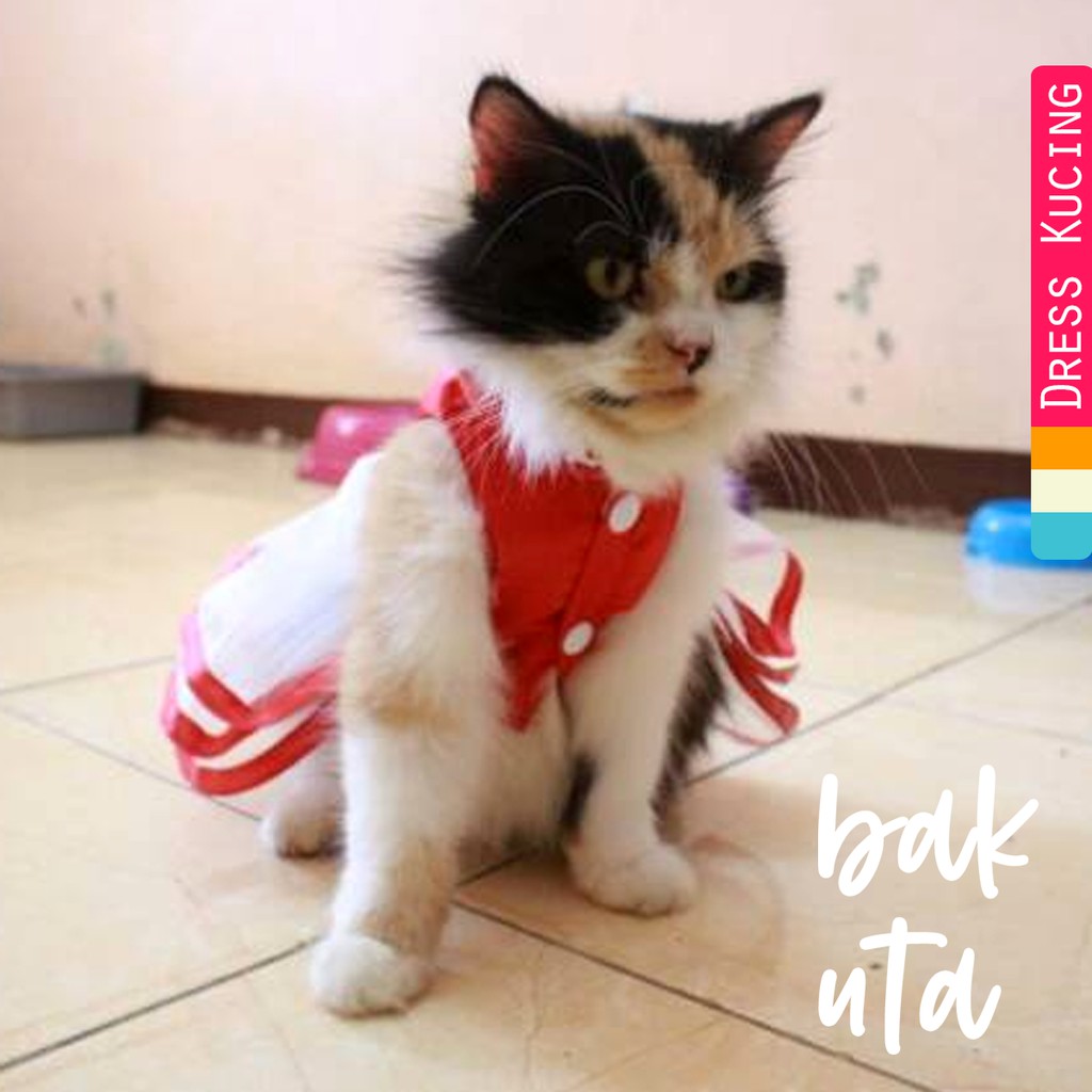 Dress shanghai merah satin untuk imlek 2019 baju kucing murah size S M L XL