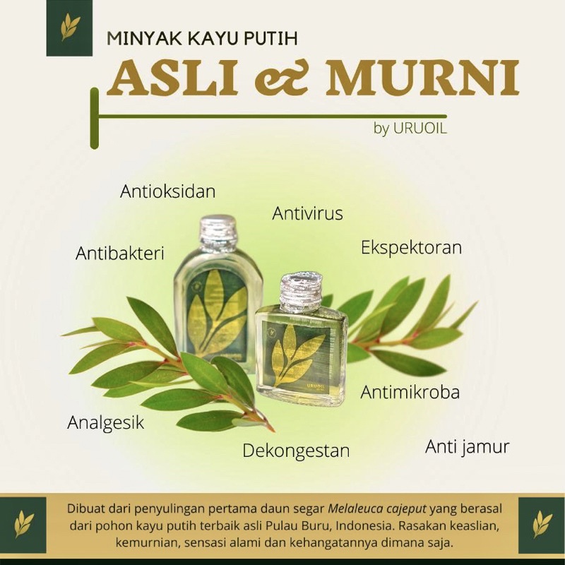 Minyak Kayu Putih Murni