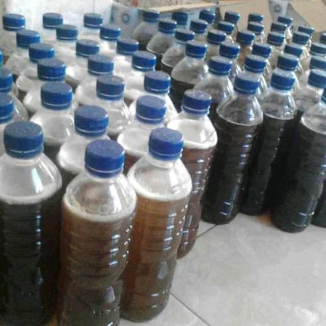 

Madu manis khas pulau bangka
