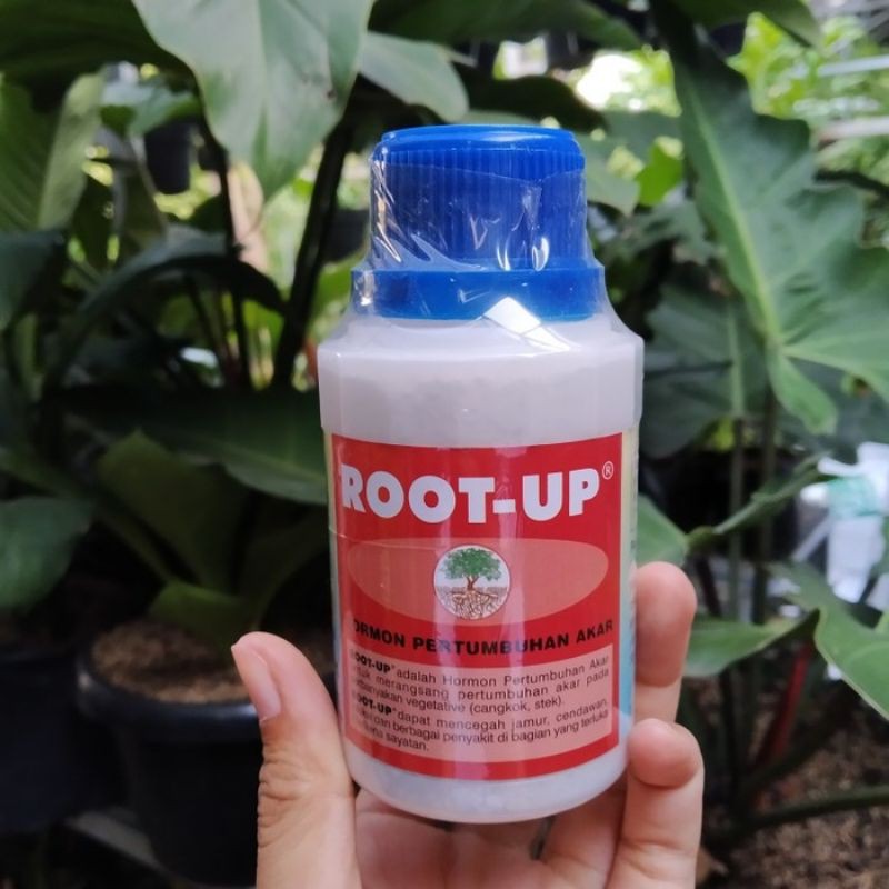 Root up hormon penumbuh akar tanaman bonsai 100 gram perlengkapan tanaman hias