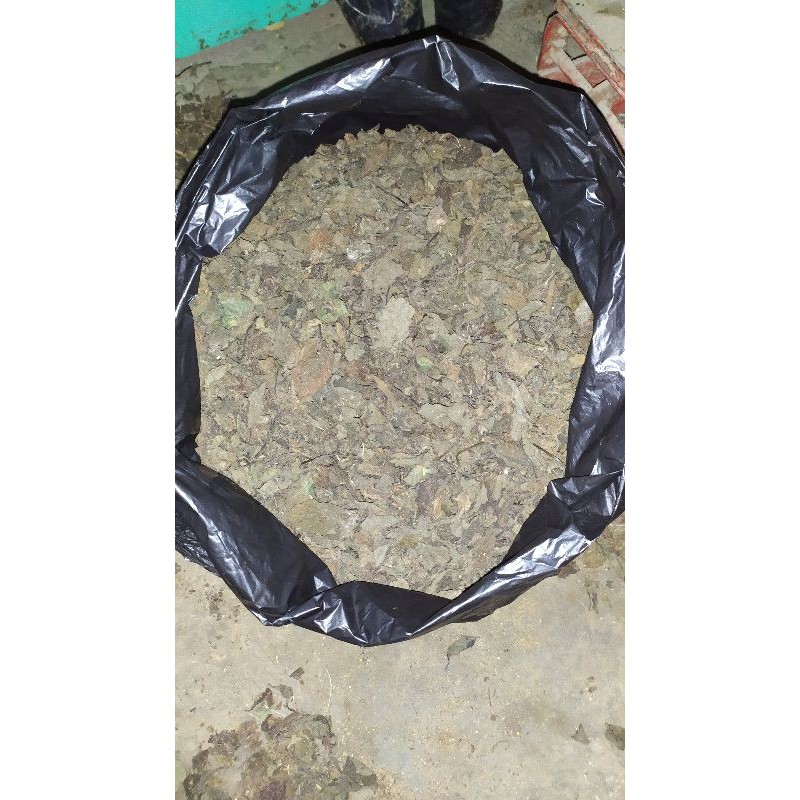 

DAUN JANGGELAN KERING SUPER ( Bahan Cincau Hitam )