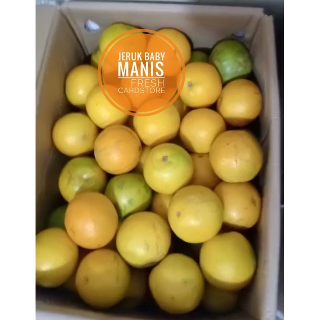 

Buah Jeruk Baby Fresh Manis Banyak Air Segar - 500 Gr