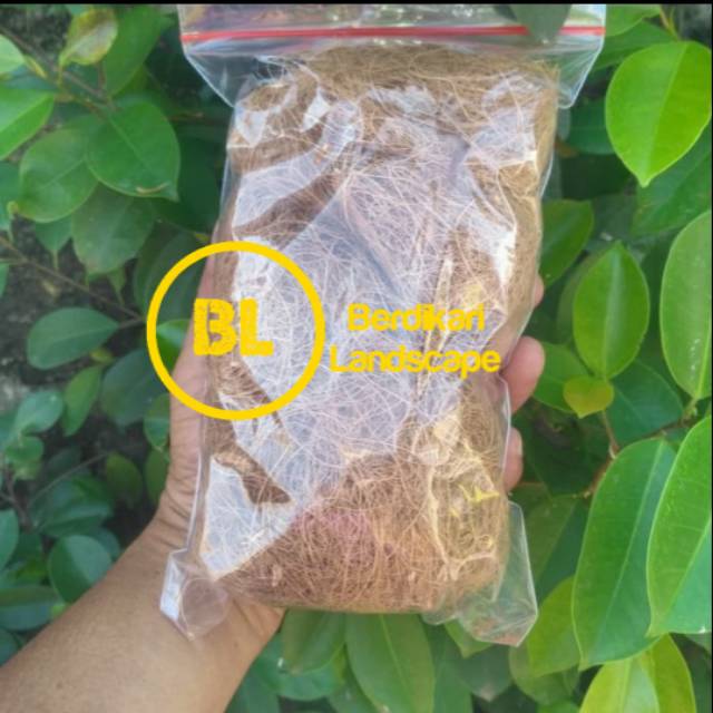 Coco fiber media tanam serabut kelapa coco fiber sabut kelapa