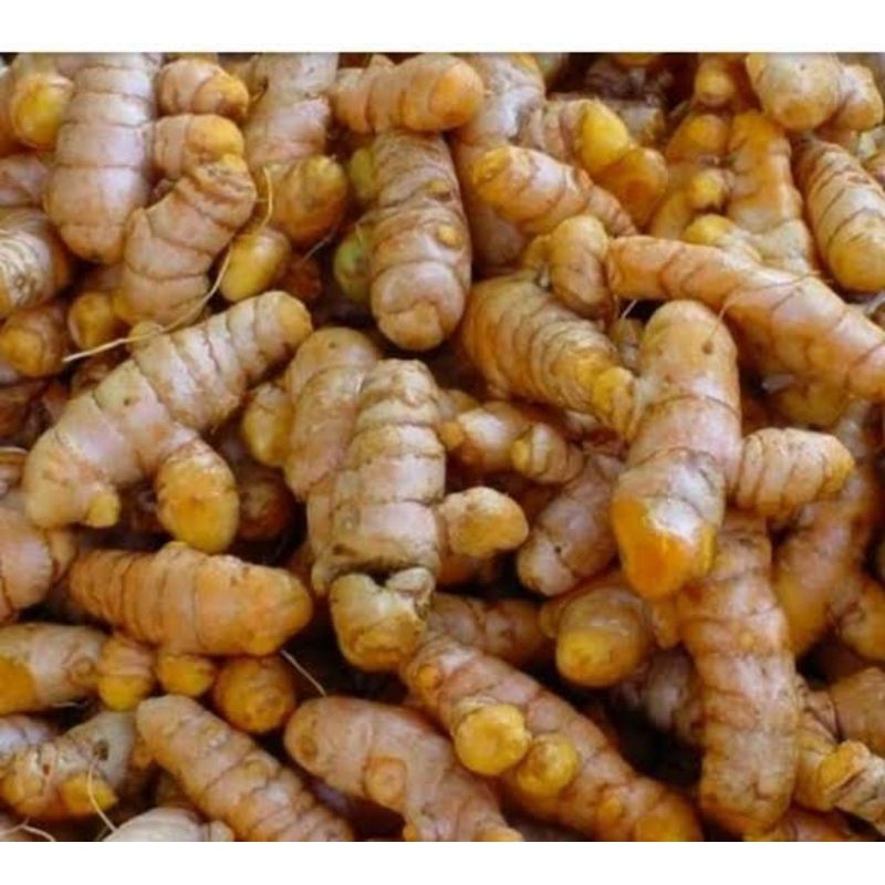 

Kunyit kuning Fresh 250gr