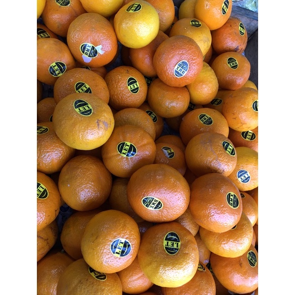 

jeruk wokam per 1kg