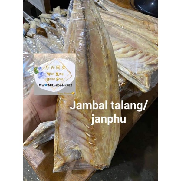 

Ikan Asin Jambal Talang / Janphu (POTONGAN)500gram