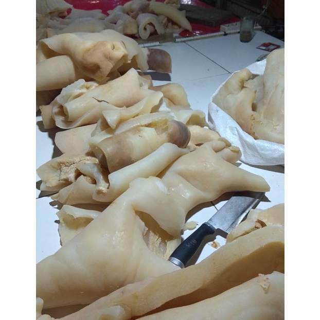 

Kulit Kepala Sapi Segar