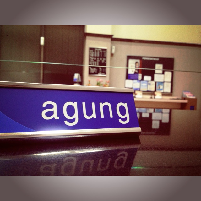 agung1314