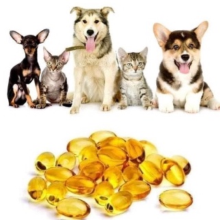 GOOD FISH OIL VITAMIN BULU Kucing Anjing Obat Pelebat Penumbuh bulu Menyusui Anak Vitamin Hamil Vit E Anti Rontok 80pcs chewable tablet softgel