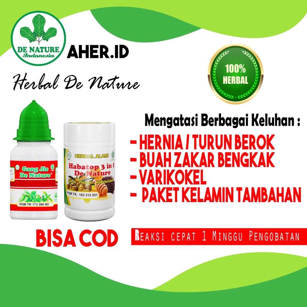 Obat Hernia Turun Berok Buah Zakar Bengkak Varikokel Alami Original De Nature