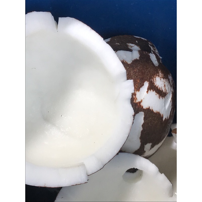 

Kelapa Parut 1 Butir