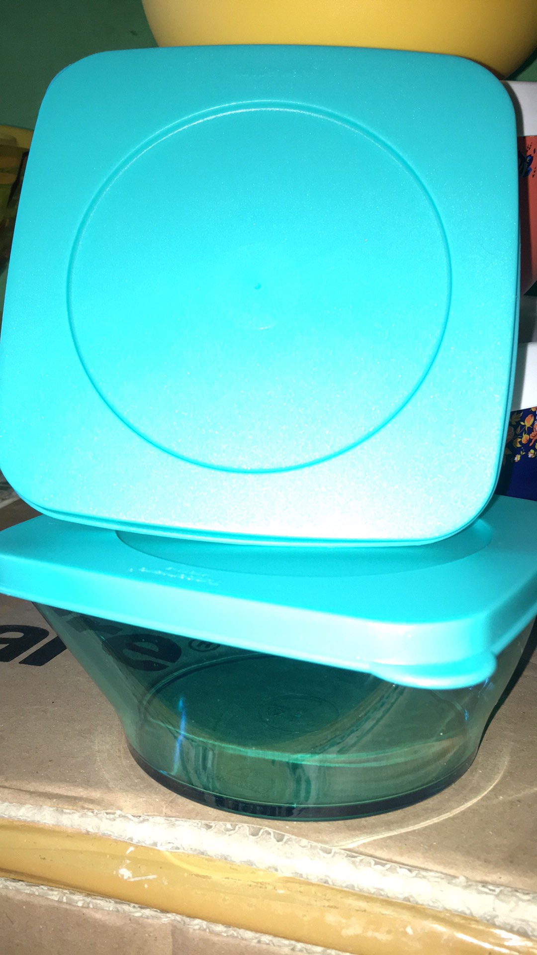 Clear Bowl Biru 2 Pcs Wadah Kue