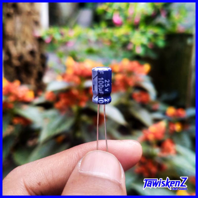 elco / capasitor bipolar. 25volt 100uf