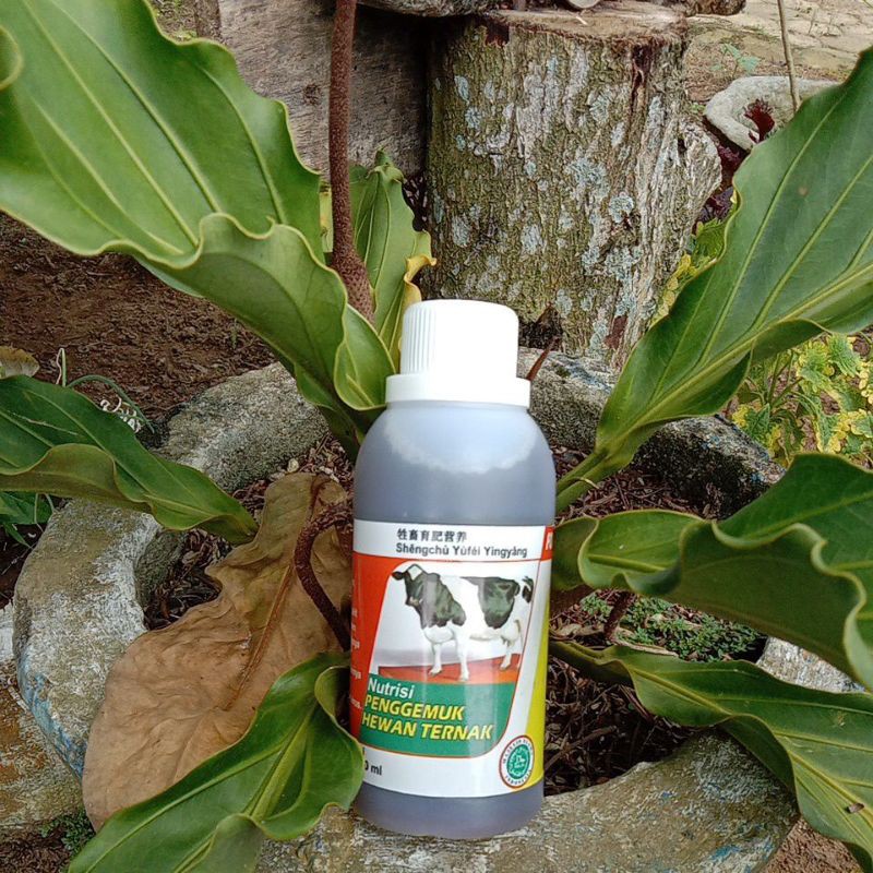 

supernutrisihewan