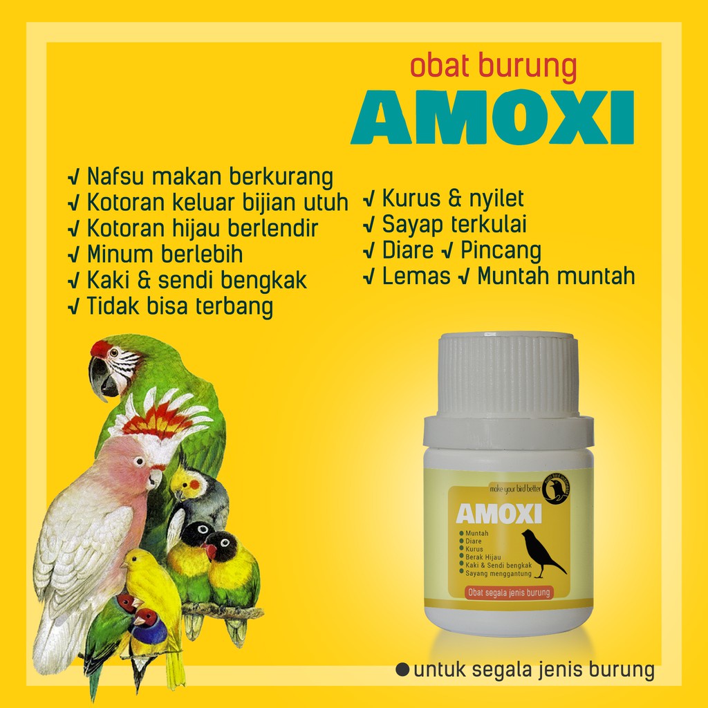 Obat burung Amoxi - kotoran hijau berlendir