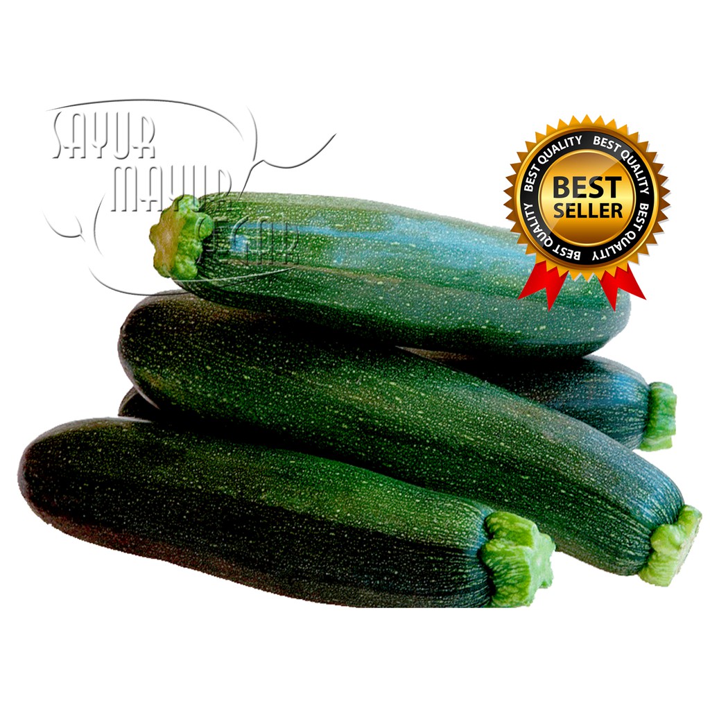 

KIRIM INSTAN ZUCCHINI 500 GRAM (1/2 KG) SAYURAN CURAH