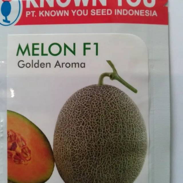 Benih Bibit Melon F1 Know you Seed