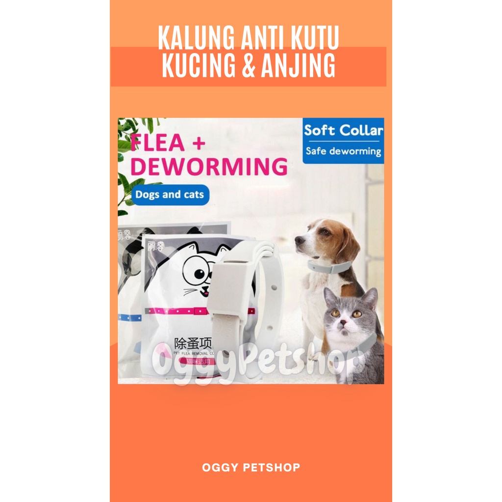 Kalung Anti Kutu Kucing Anjing