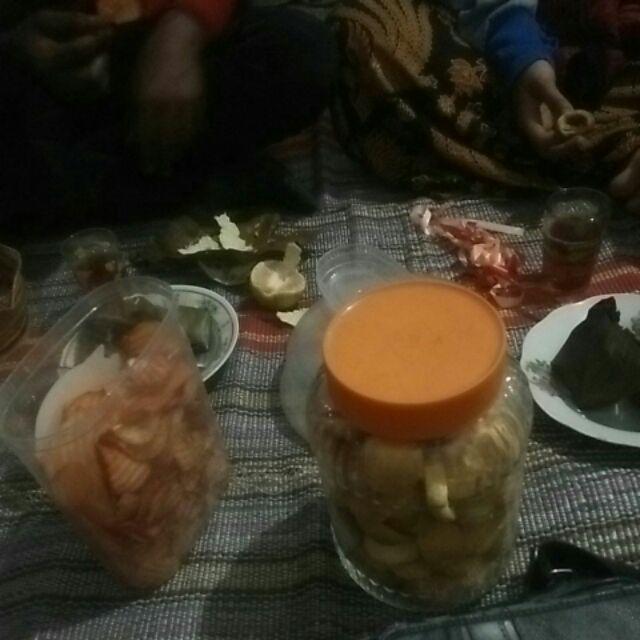 Promo 3batang Bibit Tanaman Buah Alpukat Kendil Tinggi 50cm