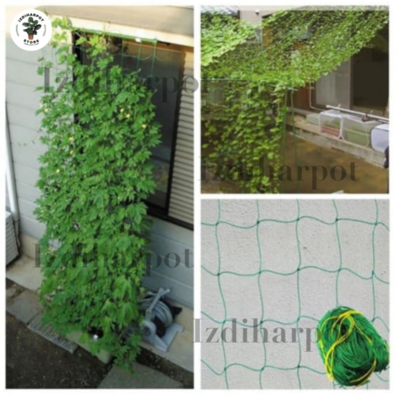 JARING RAMBATAN TANAMAN PLANT CLIMBING NET 1,8 METER - JARING RAMBATAN TANAMAN