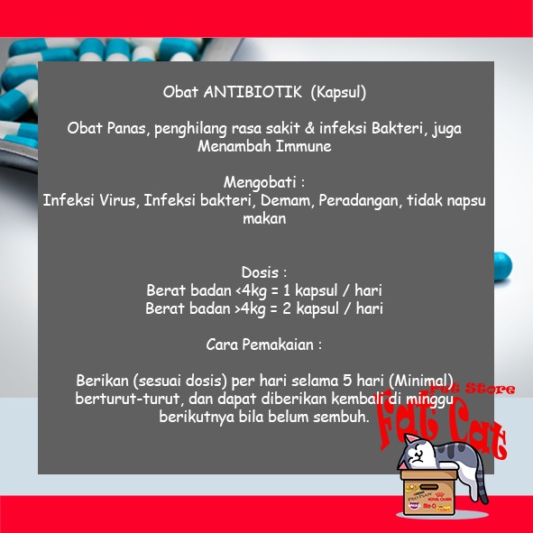 Obat Antibiotik Kucing - Obat demam infeksi kucing vitamin kucing