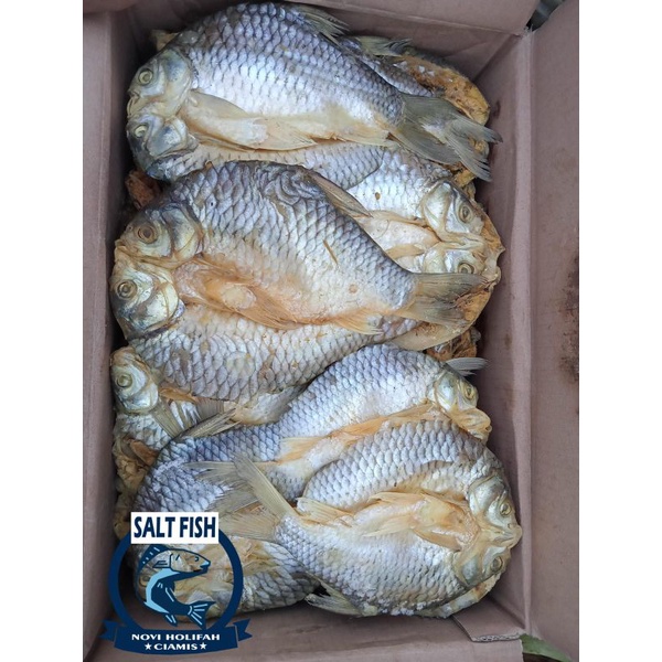 

ikan asin tawes besar 1kg paling murah
