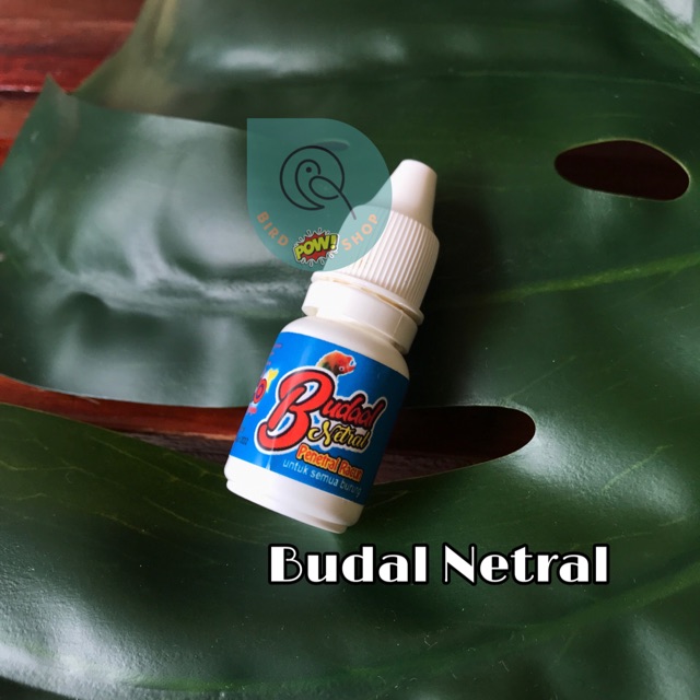 BUDAL NETRAL PERAWATAN DAN OBAT BURUNG SAKIT MENINGKATANAN STAMINA BURUNG LOVE BIRD (serbuk setan)