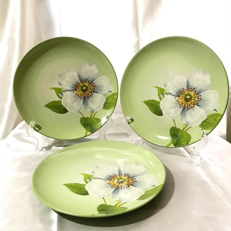 salad plate colorwave apple set
