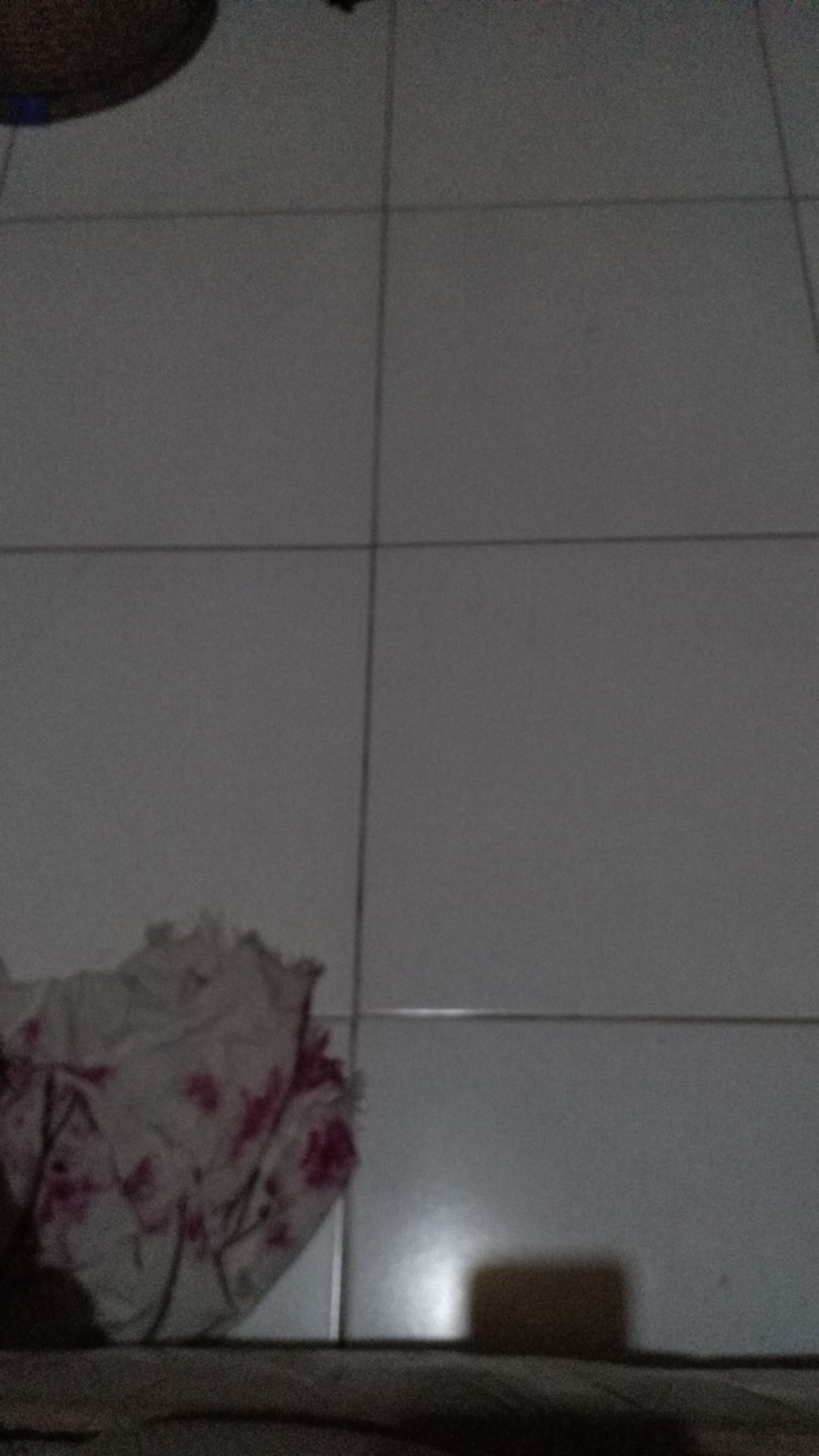 Kamper Swallow Toilet Isi 5