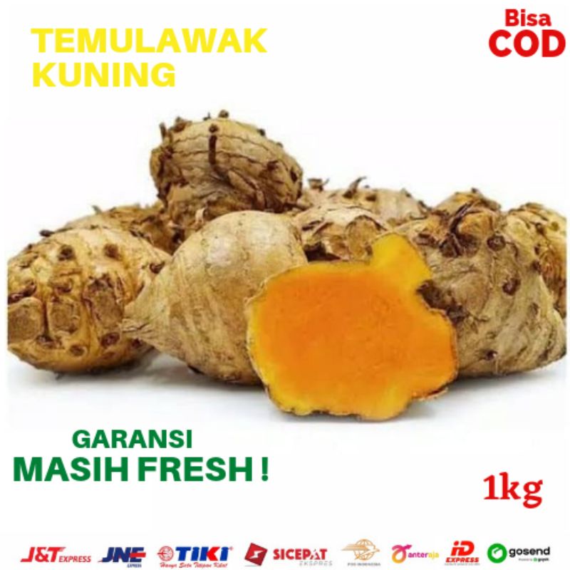 

Temulawak segar kuning obat herbal 1kg