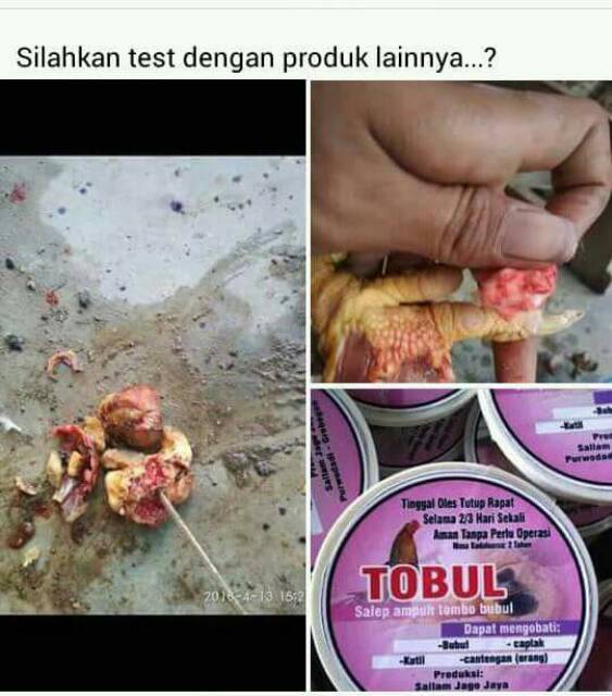 TOBUL obat bubul - obat bubul ayam / mata ikan