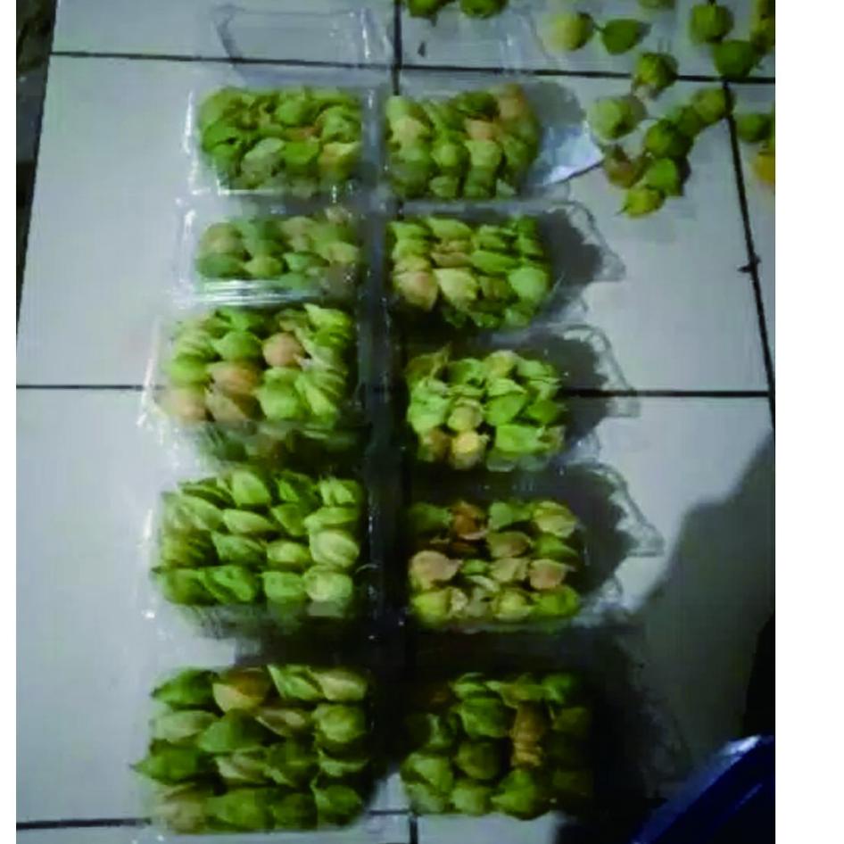 

FMI ☠ PROMO CIPLUKAN/CECENDET/GOLDEN BERRY 250 GRAM ▲▲ ☠