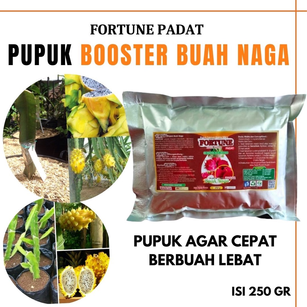 Pupuk Booster Buah Naga, pupuk buah naga agar berbuah lebat
