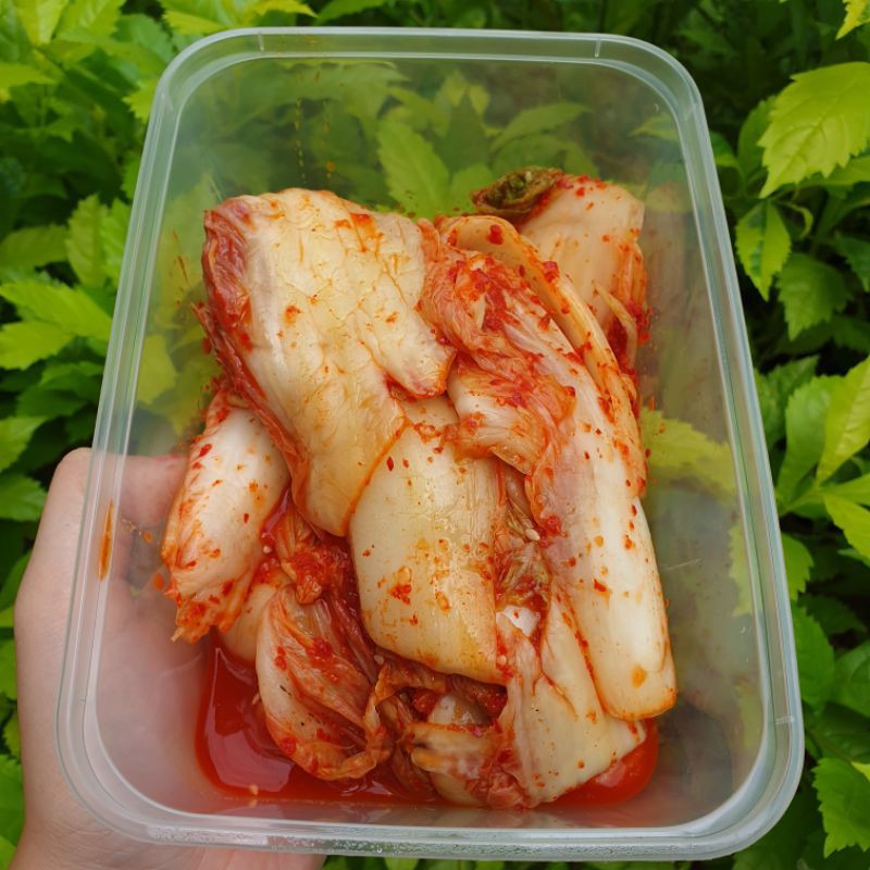 

KIMCHI HOMEMADE 500GR JAMIN ENAK SEGAR BARU