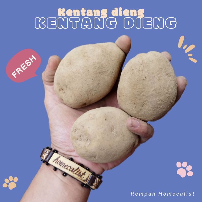 Kentang Segar 1kg Kentang Dieng