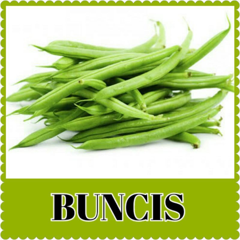 bibit buncis/benih buncis/bibit benih tanaman buncis