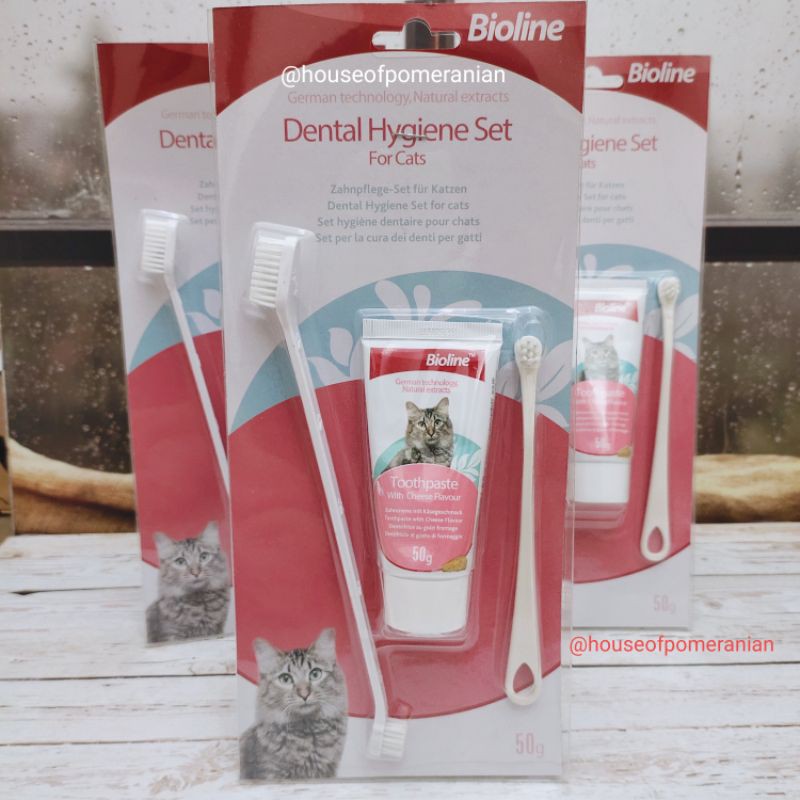 cat dental set pasta gigi kucing kitten tooth brush paste hygiene bioline 50g