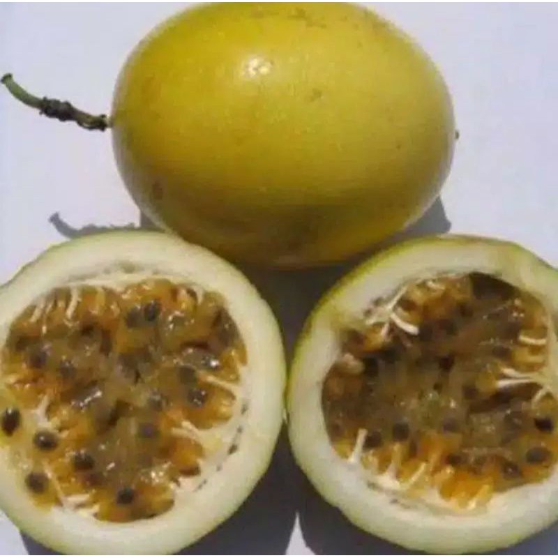 

Buah markisa kuning segar/ 500grm