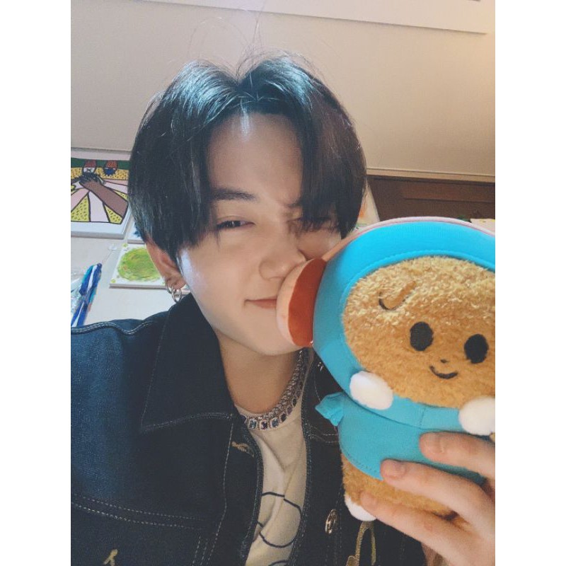 

kacang greenpeas broadbean