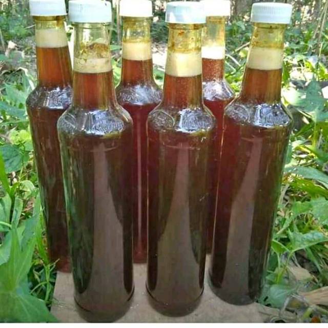 

Madu liar hutan
