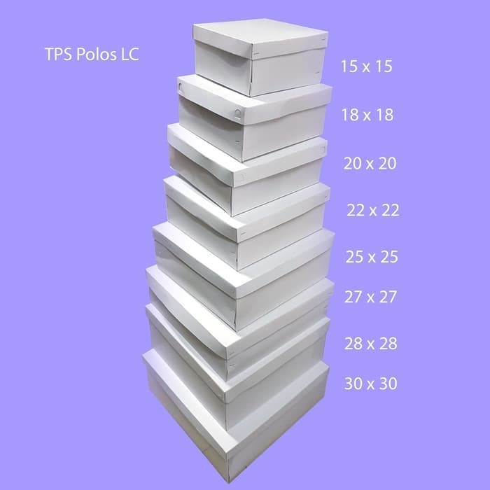 TPS Polos 22x22 x8 50 pc Kotak Dus Nasi Katering LC 22 x 22