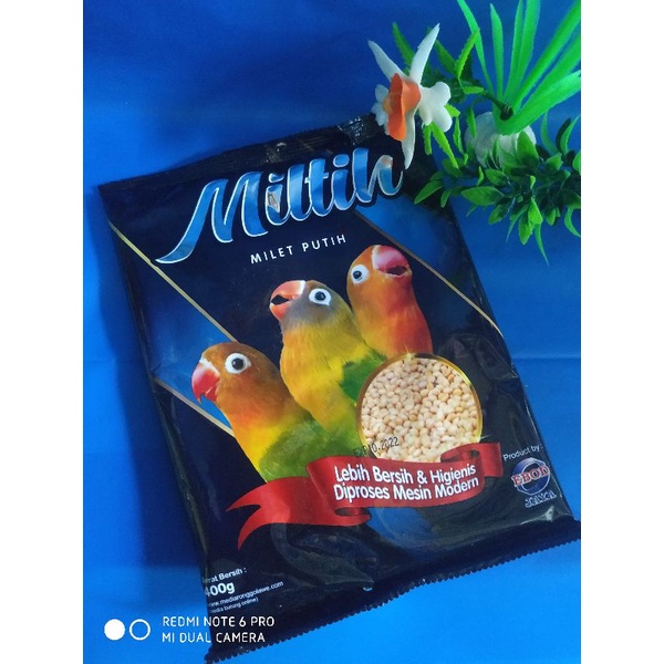 miltih ebod jaya pakan burung lovebird