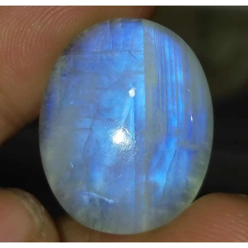 NATURAL BIDURI BULAN