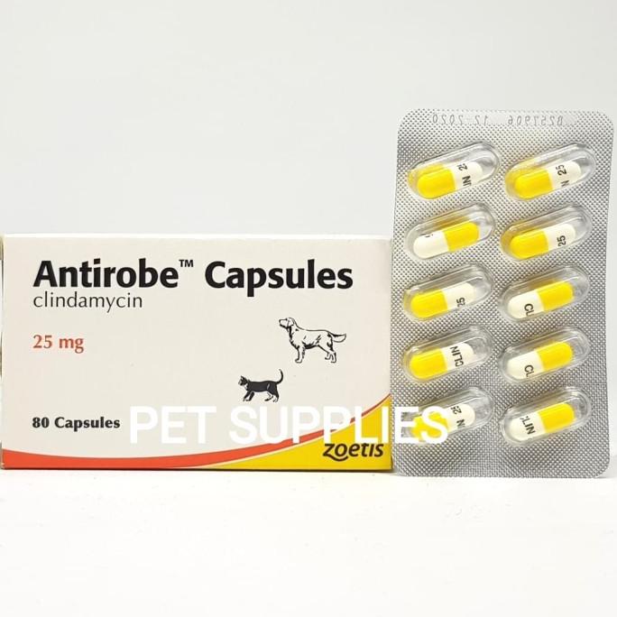 ORIGINAL Obat antibiotik kucing anjing Asli