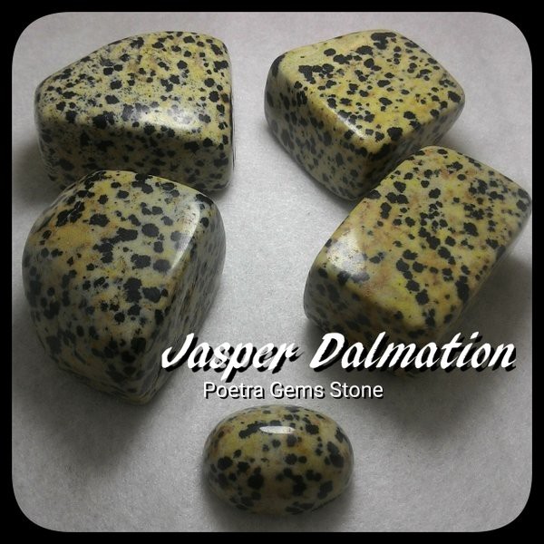 BATU NATURAL JASPER DALMATION MEKSIKO