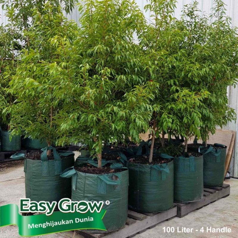 PLANTER BAG 100 LITER EASY GROW / POT TANAMAN MUDAH DI PINDAH / PLATER BAG TAMAN / PLANTER BAG / TAB