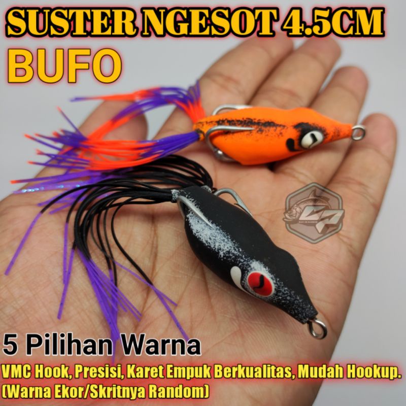 BUFO NGESOT / SOFT FROG SKRIT / kodok karet / kodok ngentul