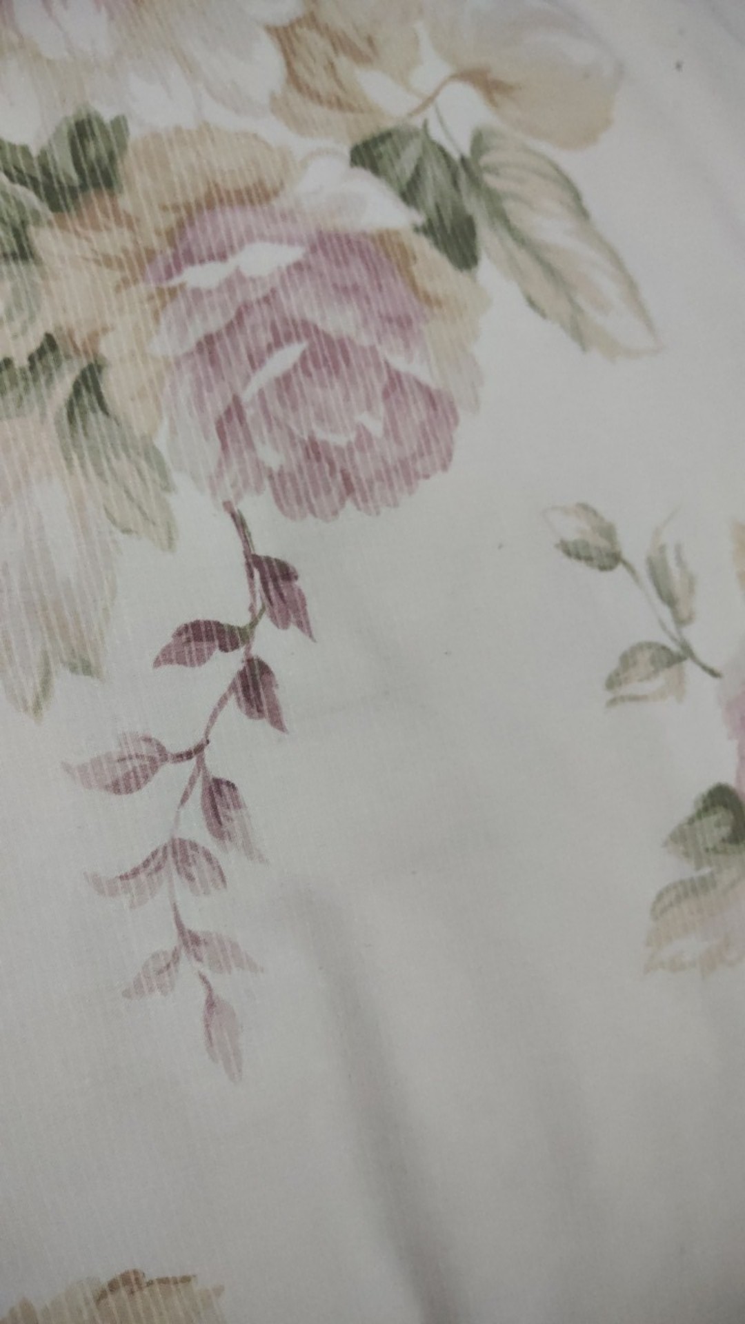 Nota Live Neww 15.000-30.000